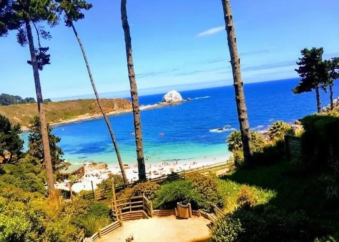 Pinares Del Canelillo, Algarrobo, Chile
