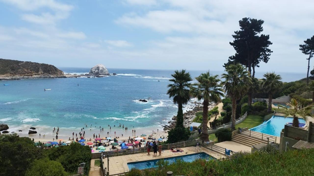 Pinares Del Canelillo, Algarrobo, Chile